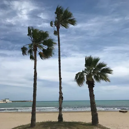 A 100m De La Playa * 또레비에하